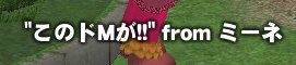 mabinogi_2009_02_05_006.jpg