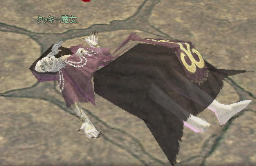 mabinogi_2009_03_05_004.jpg