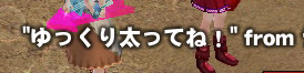 mabinogi_2009_03_05_026.jpg