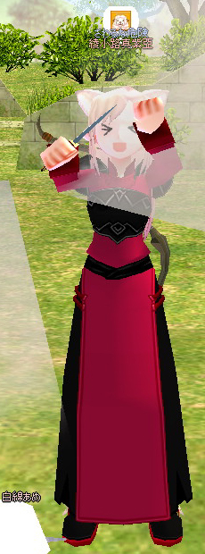 mabinogi_2009_04_17_002.jpg