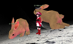 mabinogi_2009_09_29_009.jpg
