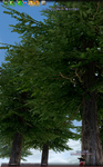 mabinogi_2009_10_15_005.jpg