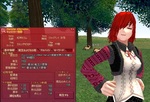 mabinogi_2009_12_24_002.jpg