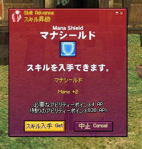 mabinogi_2010_01_12_006.jpg