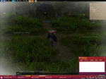 mabinogi_2009_10_26_001.jpg